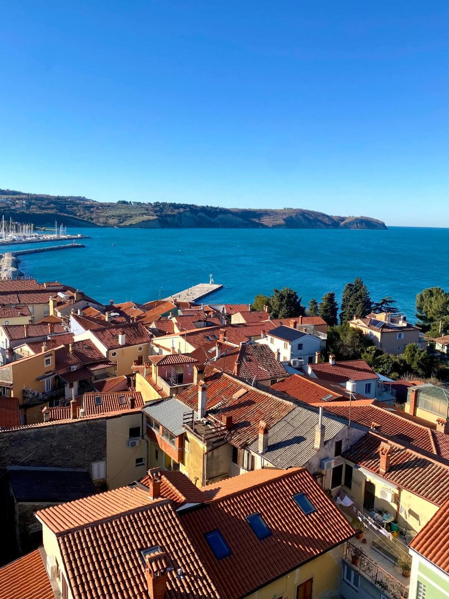 Apartma REA Izola Quarto foto